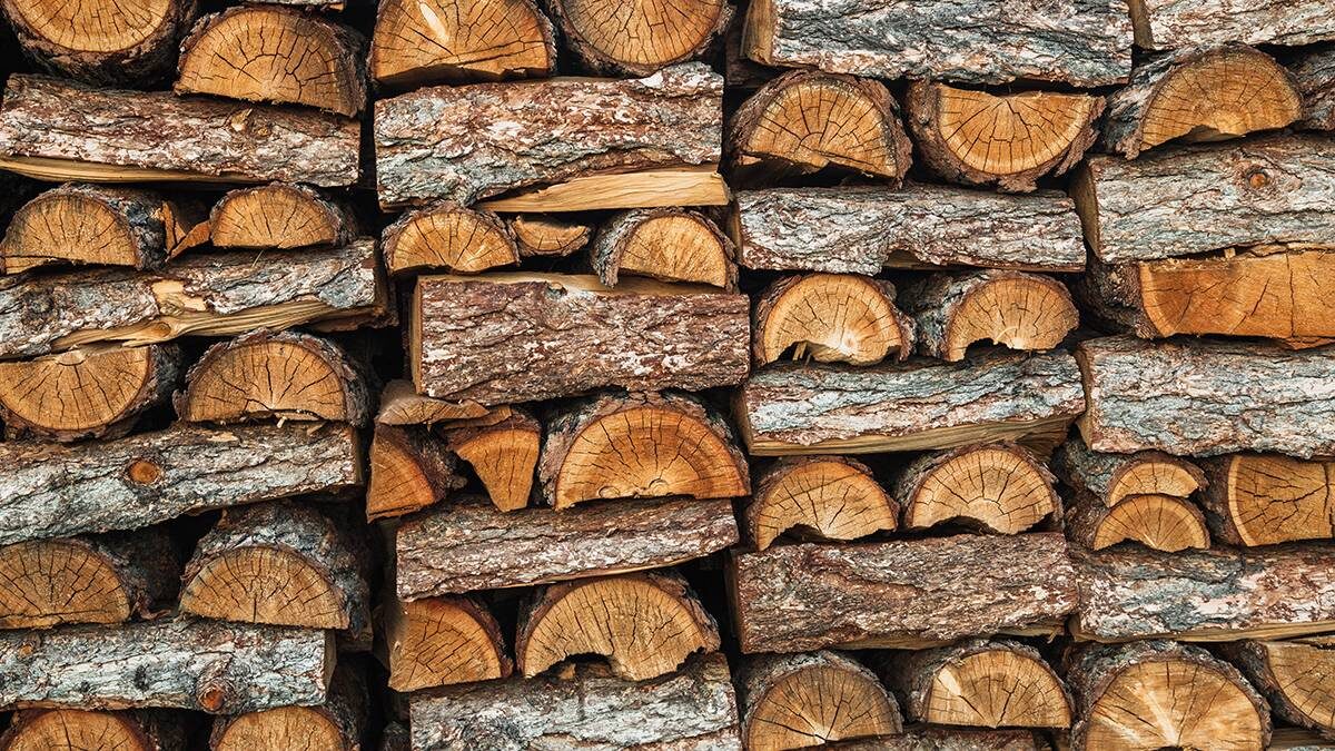    Фото: Shutterstock