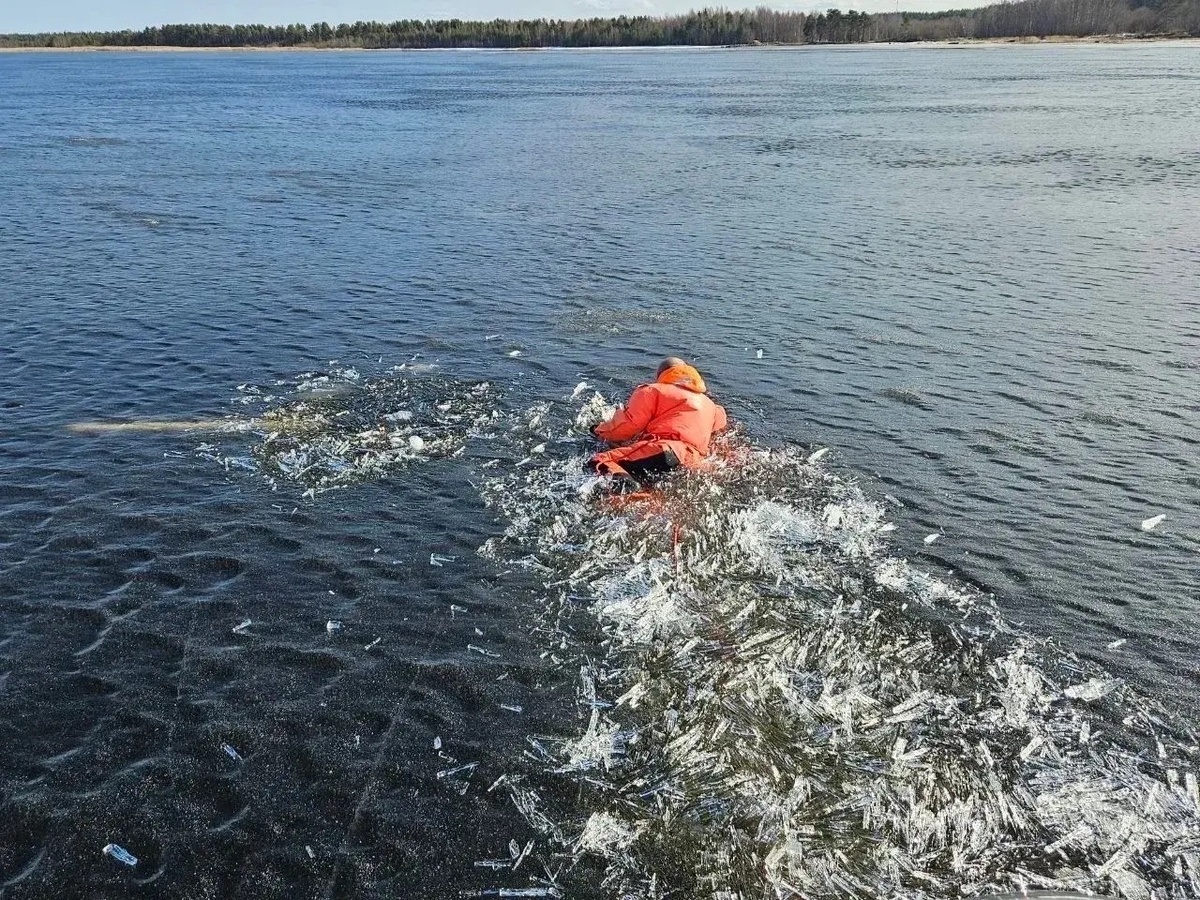    фото: © Госкомитет Карелии по безопасности