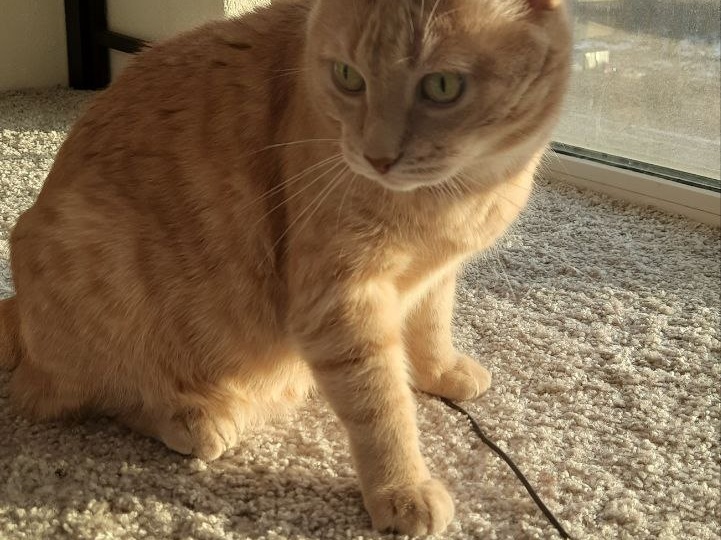 Никогда не думала, что простые ириски могут быть такими коварными...