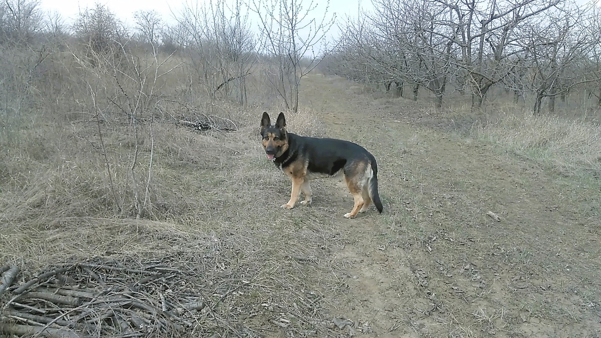 Фото автора