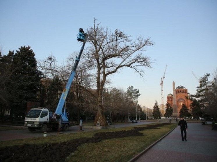     © Фото: ИД «Волгоградская правда» / архив и фото: Роспатент. Федеральная службапо интеллектуальной собственности