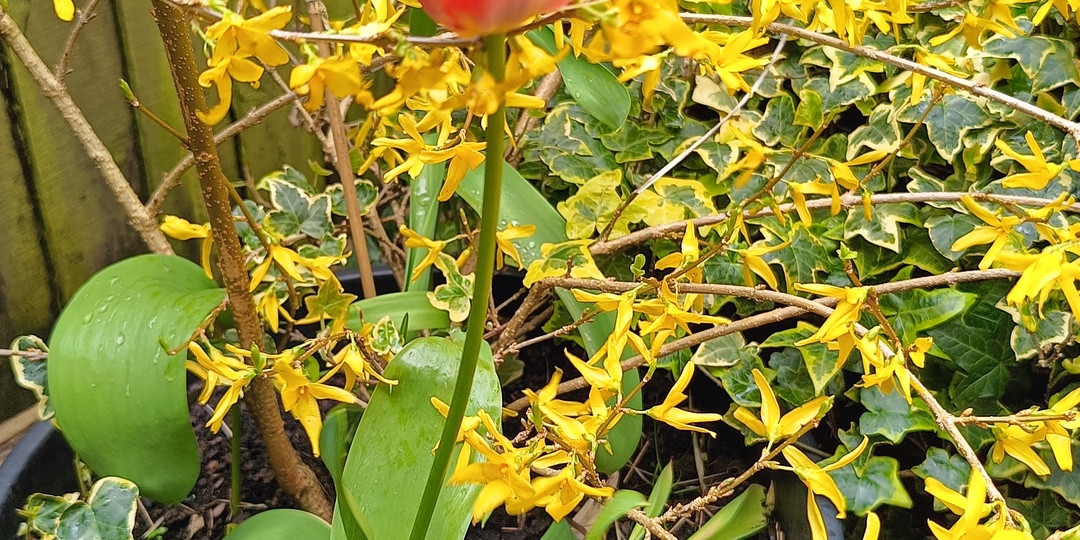 Из британской глубинки: стоимость топлива растет в прогрессии, весна предаёт, а прекрасное далеко зовёт и вдохновляет