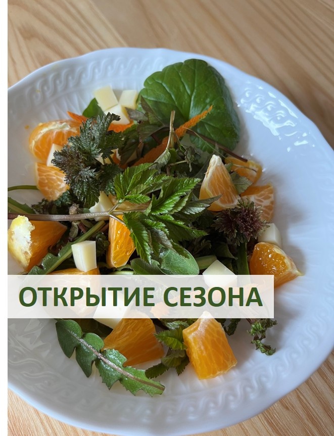 Салат Открытие сезона