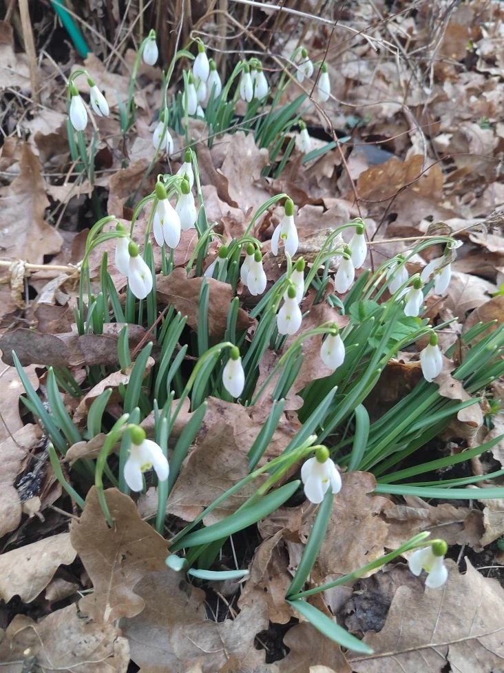 Фото автора канала