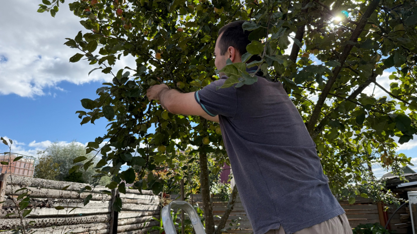    Фото progorod43.ru