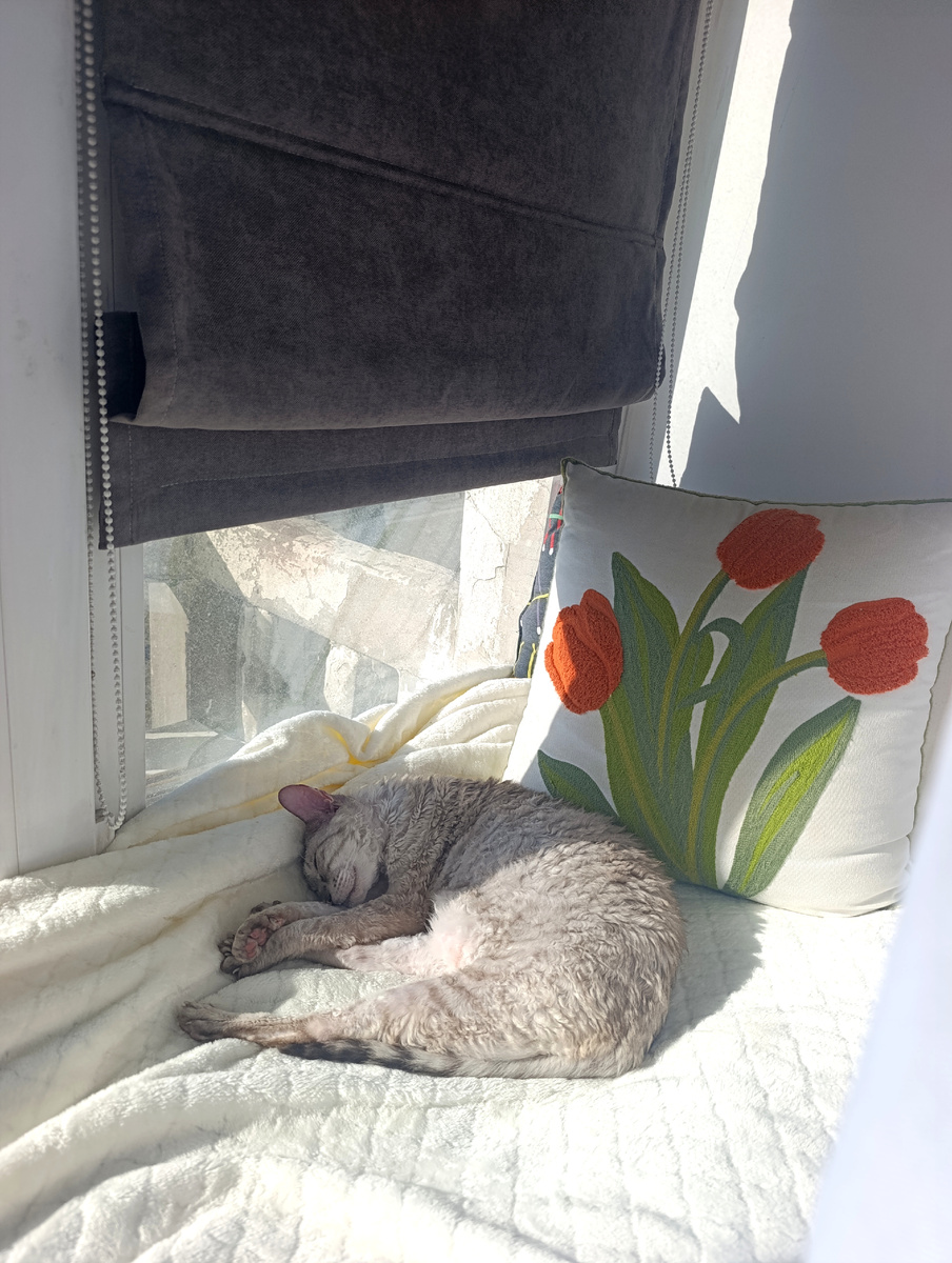 Солнце в моей квартире. 