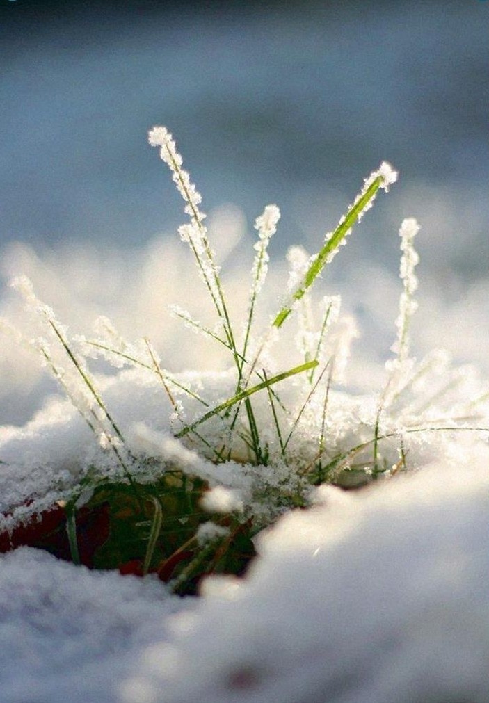 1. Оттенки Bright Spring. Иллюстрации из открытых источников, коллажи авторские.