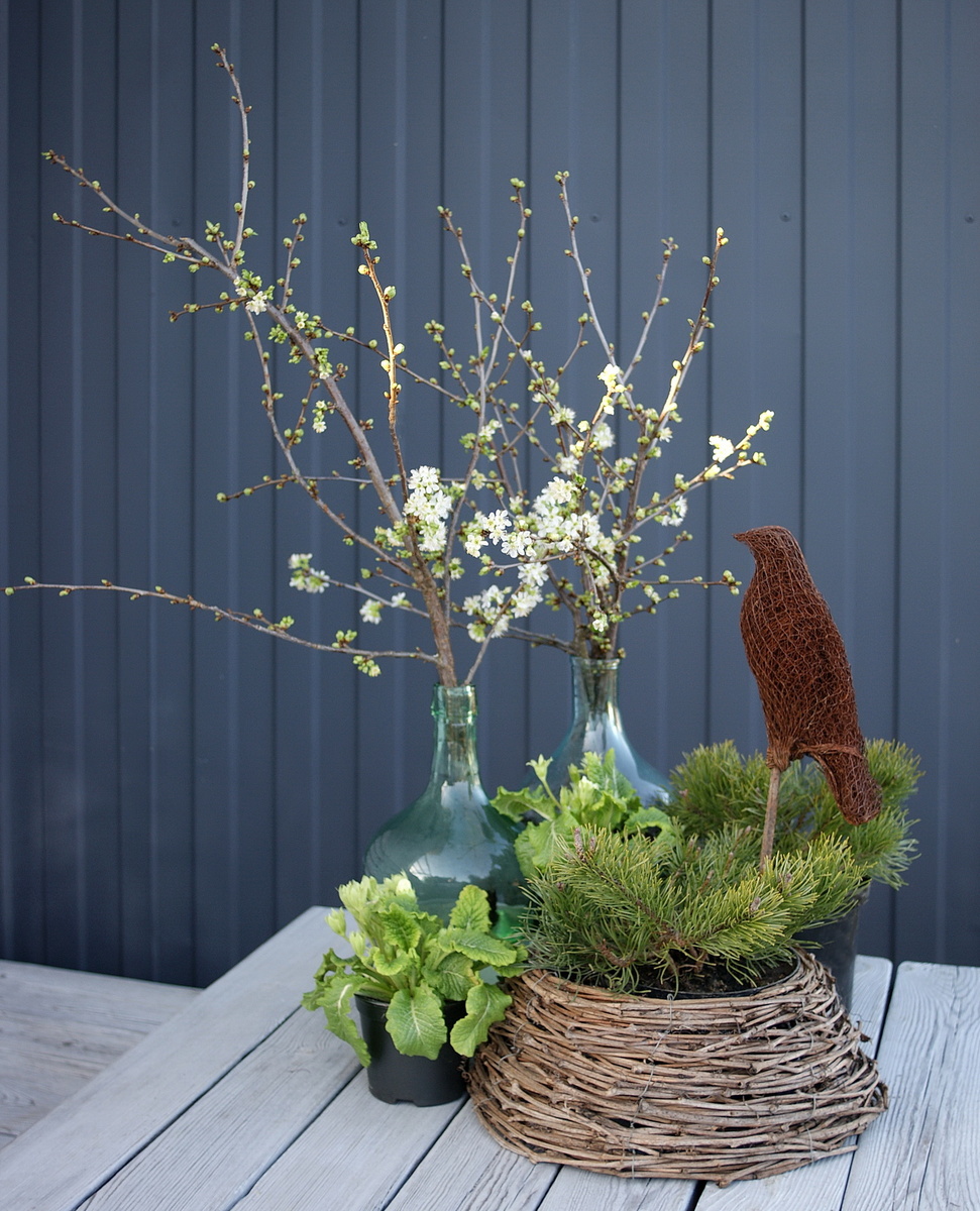 Первая весенняя композиция, март 2026. 