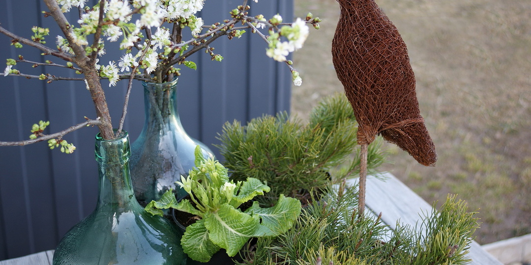 Первая весенняя композиция сезона-2026