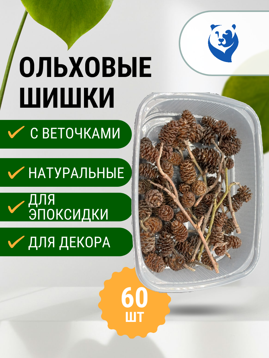 Ольховые шишки с веточками