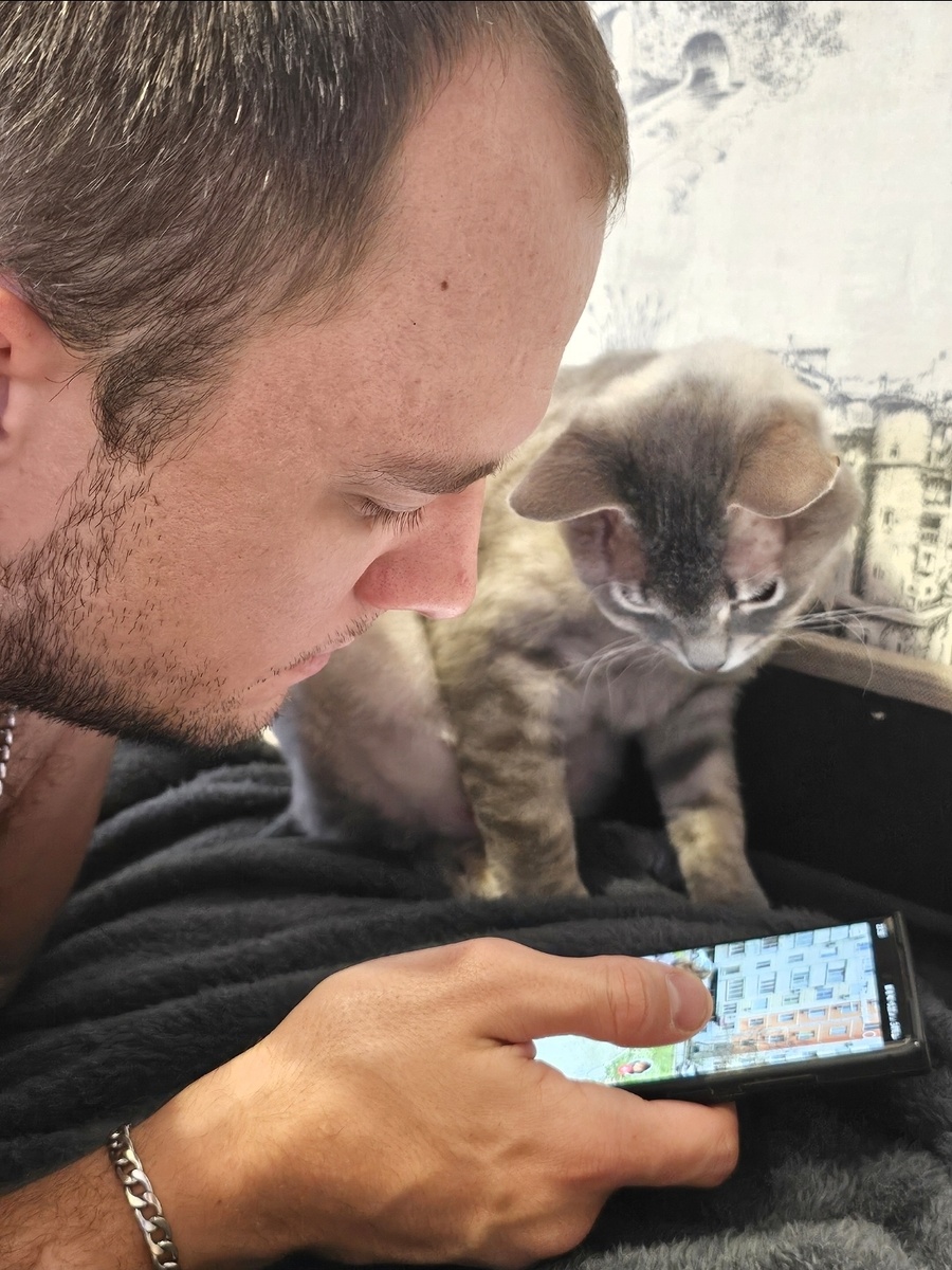 Локи смотрит в телефон с хозяином