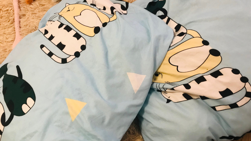    Фото progorod43.ru