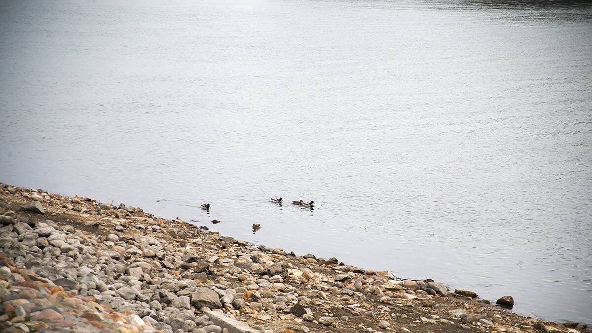    Фото: Сергей Ведяшкин / АГН Москва