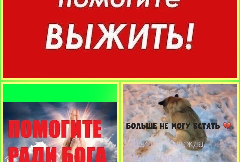 Ляля с огромной опухолью стала балластом