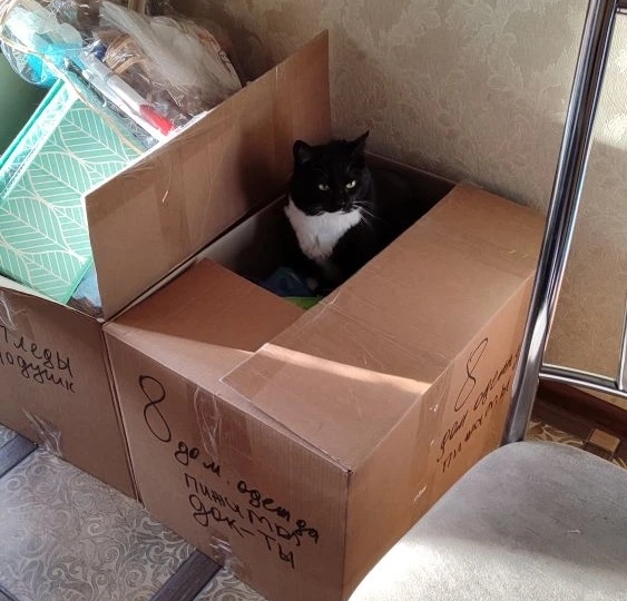 Не часто нам пишут такие сообщения, но от этого мы порадовались