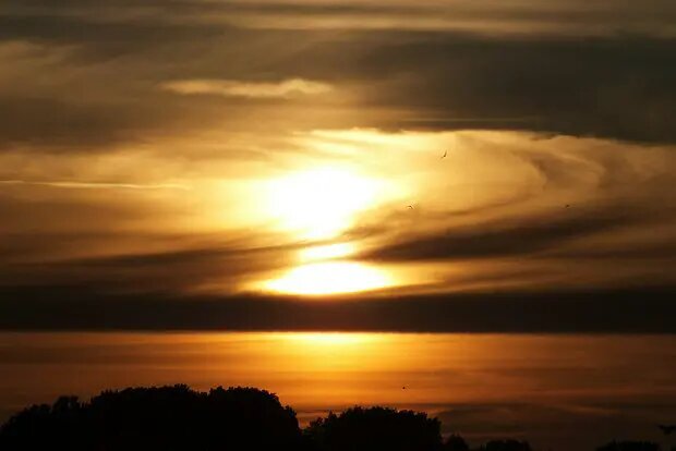    Источник: lenta.ru/ Руслан Титов