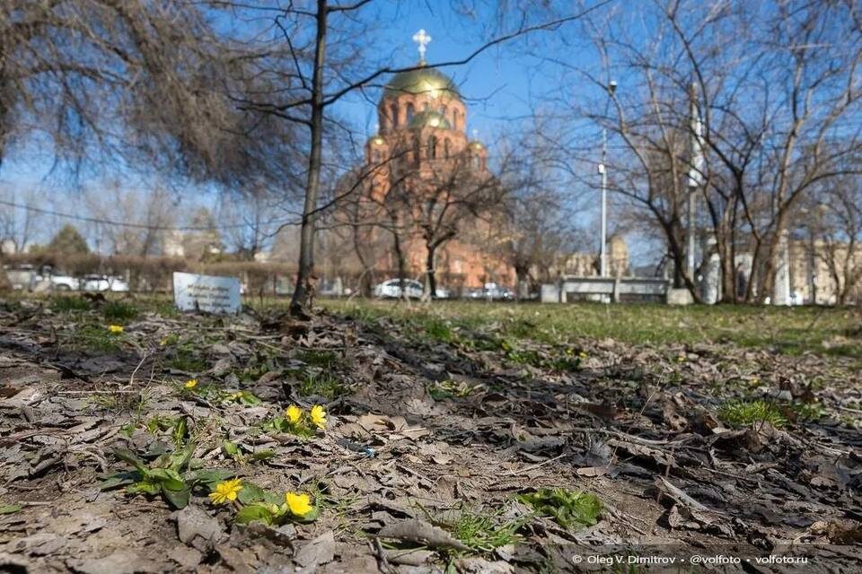    Фото: Олег Димитров / "Городские вести"