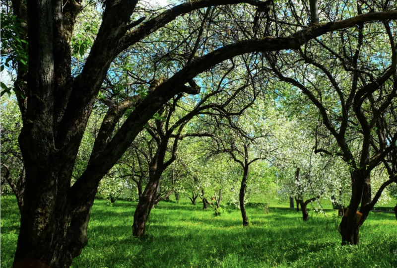 Где любовь, там Бог