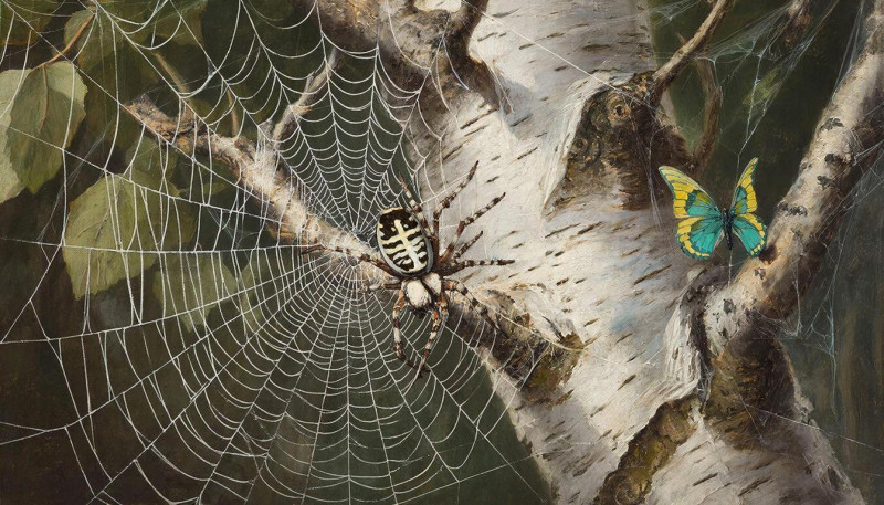 Ананси и Махаон