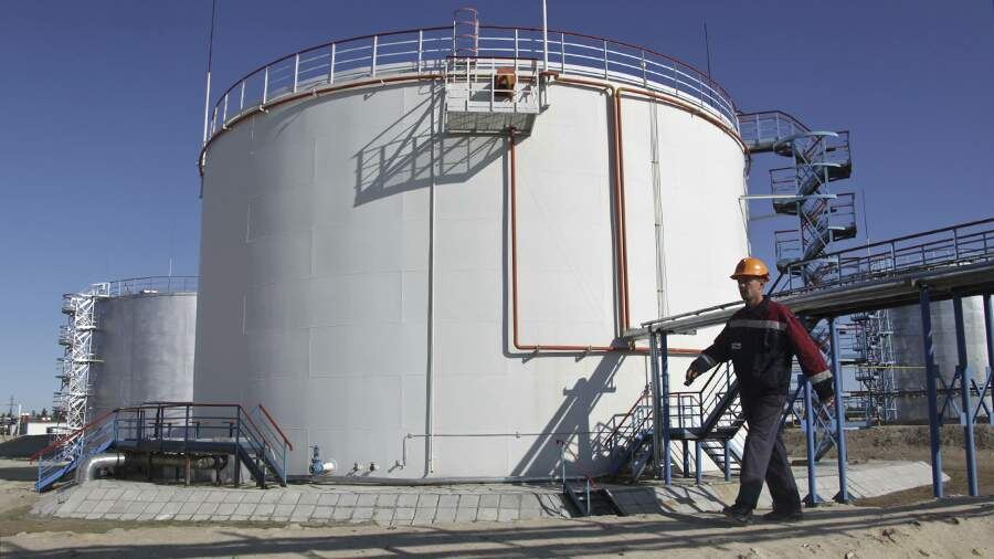    Фото: Global Look Press/Nikolay Gyngazov