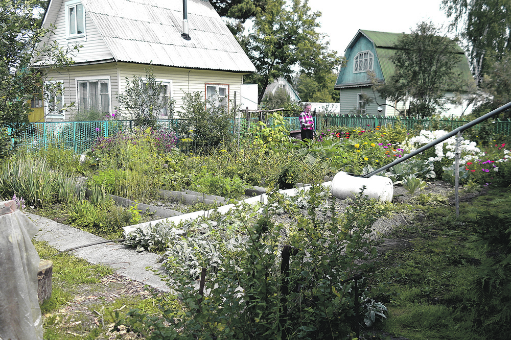    Фото: АиФ/ Виктор Крутов