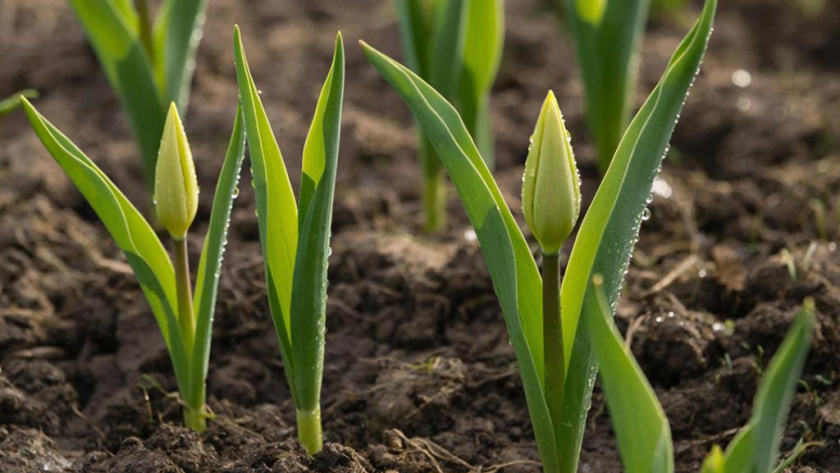   Сгенерировано в нейросети