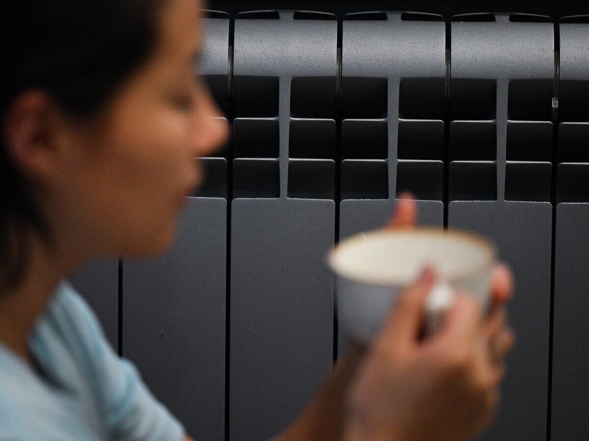    Радиатор | © РИА Новости / Рамиль Ситдиков