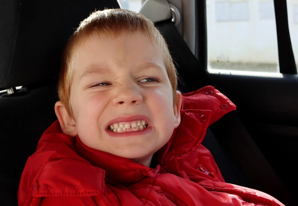 Фото: Ekaterina Mamontova M2K | Shutterstock | Fotodom