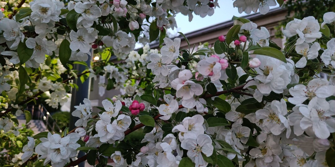 Индексация пенсий, перерасчет ОСАГО и изъятие имущества: жизнь россиян изменится с 1 апреля