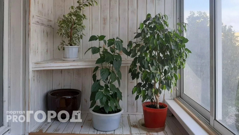    Из архива "Про Город"