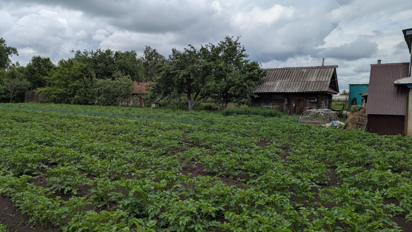    Фото: ПроГород