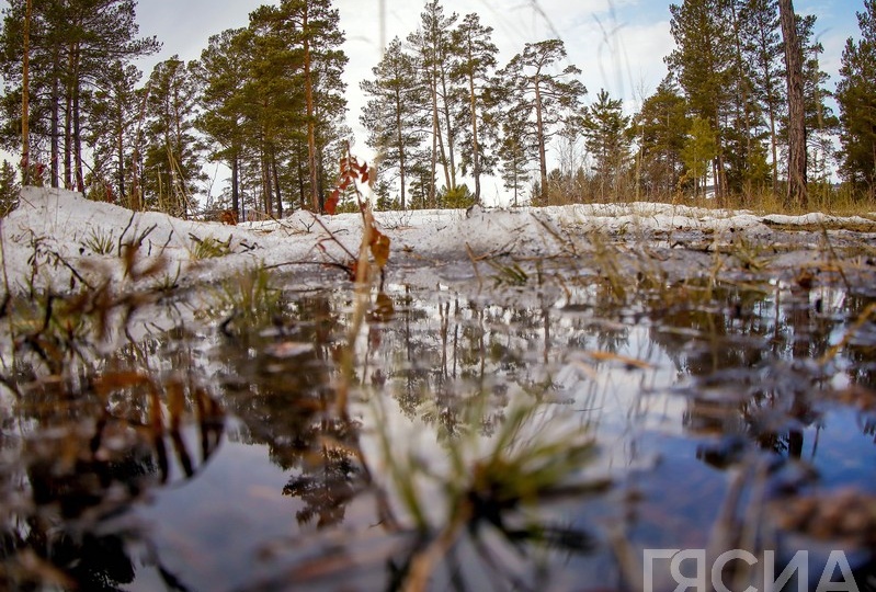 Гороскоп на апрель 2026 года для всех знаков зодиака