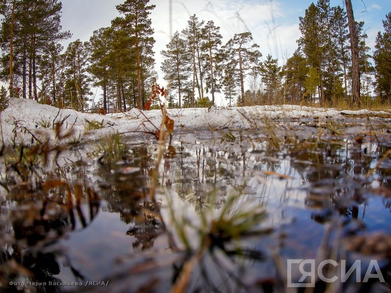 Фото: Мария Васильева, ЯСИА