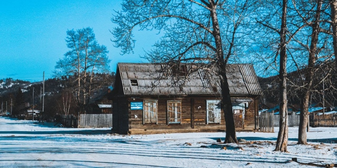 Волк напал на человека в амурском селе