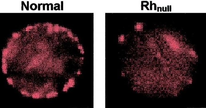 Источник: Seldon.News