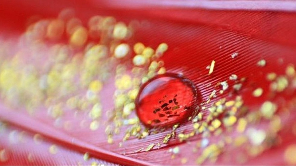 Источник: Yuz.uz