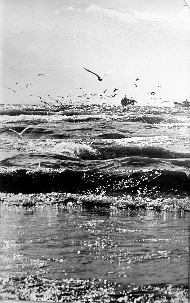 Фото из личного архива