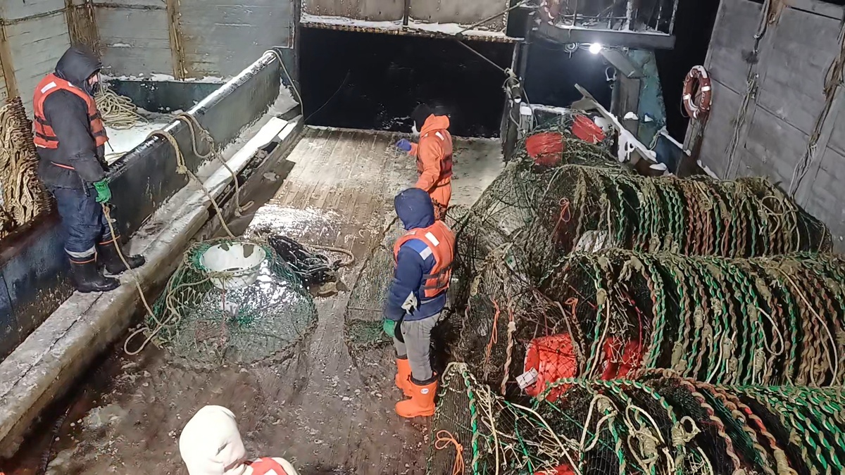  Личьное  Фото 