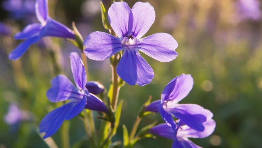    фото создано нейросетью Алиса