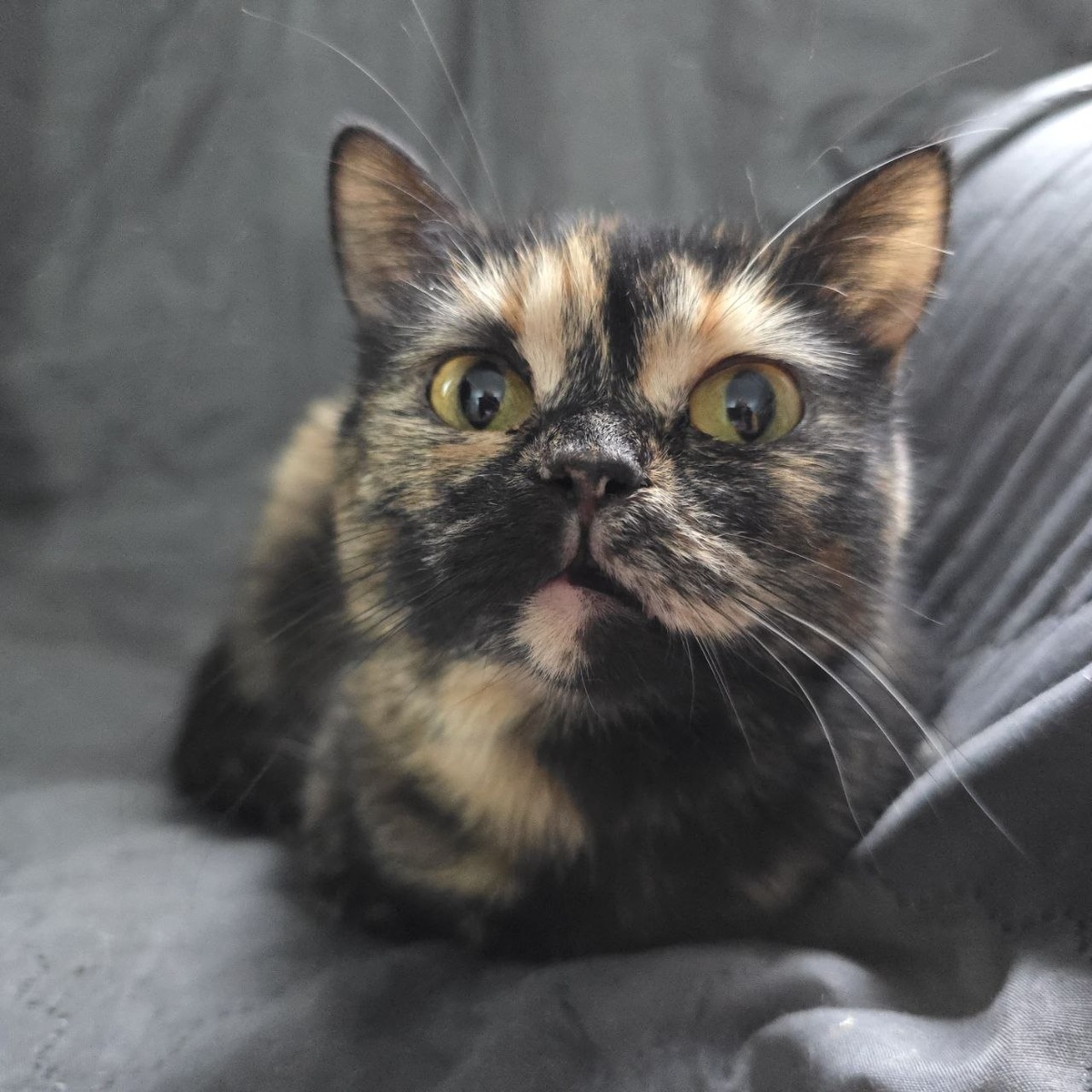 удивленные глазки главной сыщицы