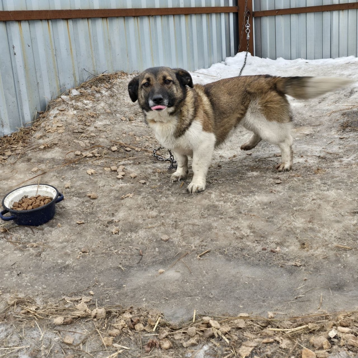 усталость в глазах ждущего лечения