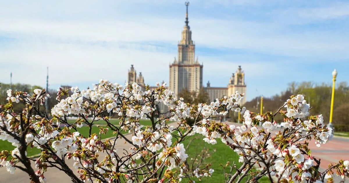 Фото с https://www.m24.ru/news/obshchestvo/05042024/681195