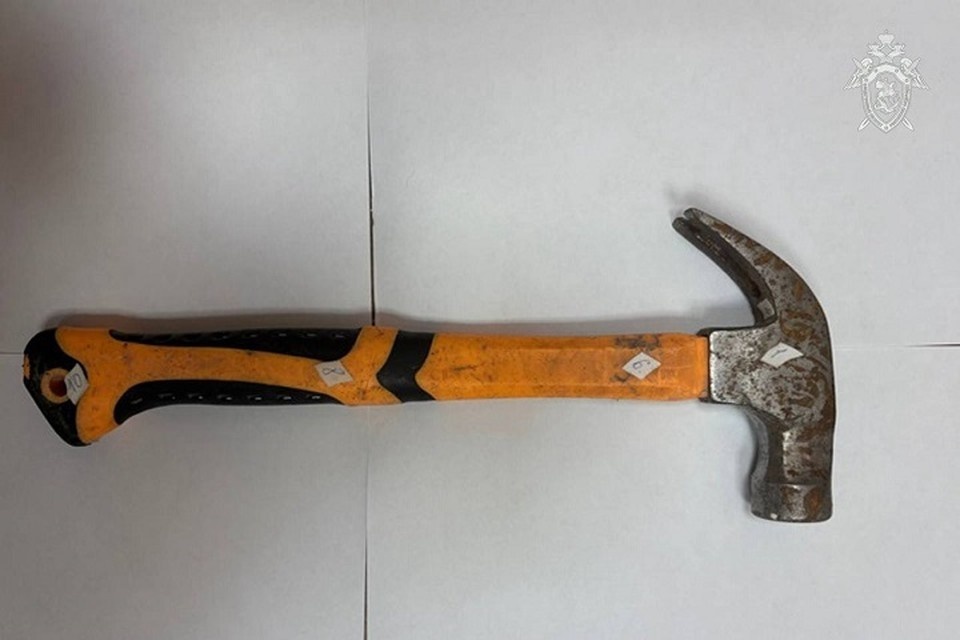    Житель Белогорска ответит в суде за нападение с молотком на человека в Приамурье СУ СК РФ по Амурской области