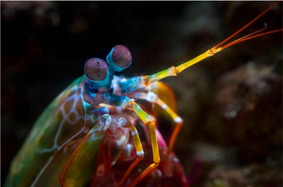 Изображение из Яндекс картинки 