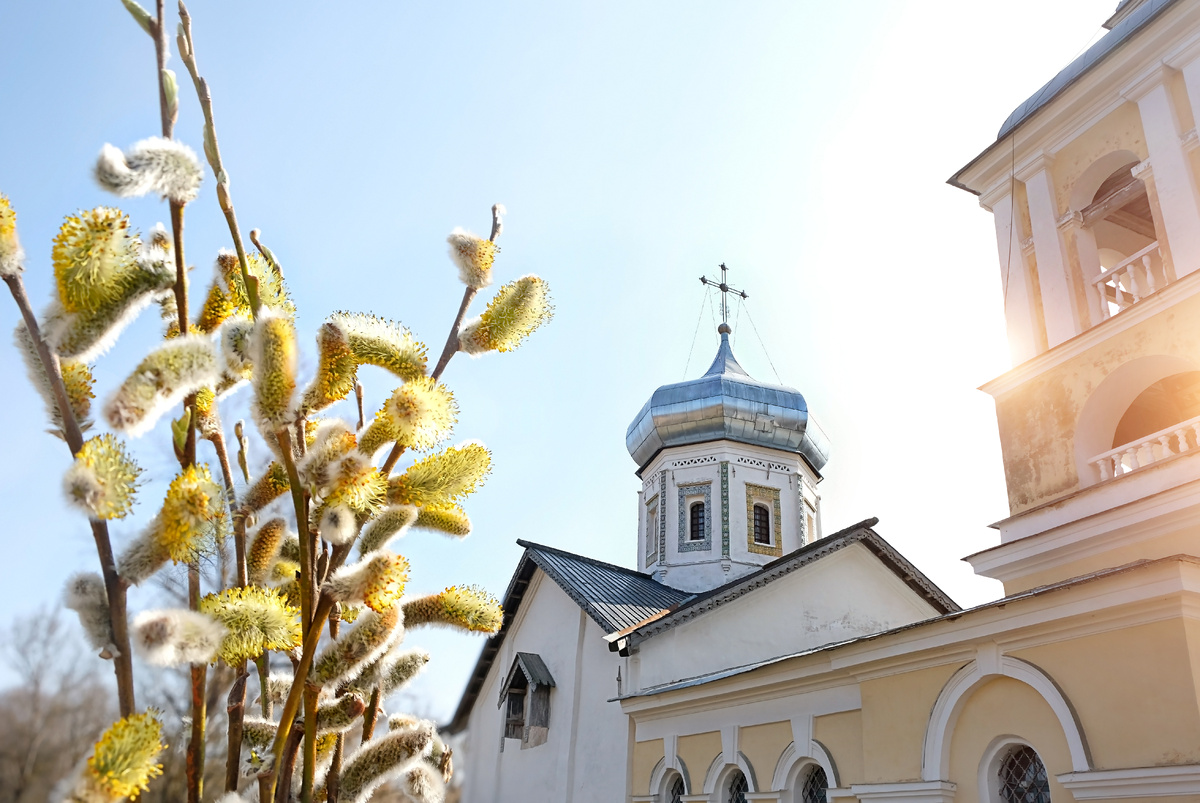 фото:shutterstock