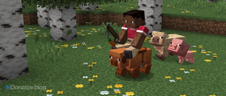    Игрок верхом на свинье