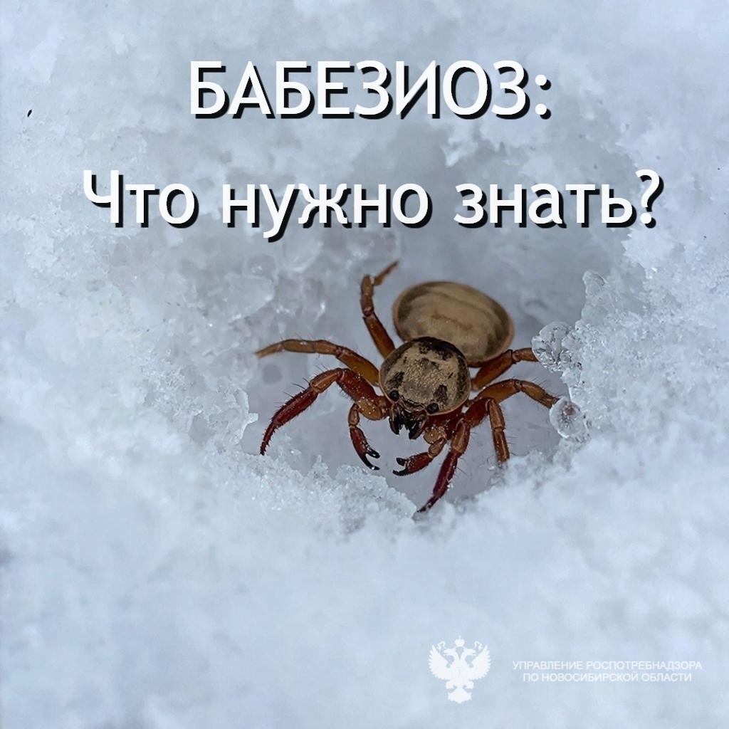    карточка Роспотребнадзора региона