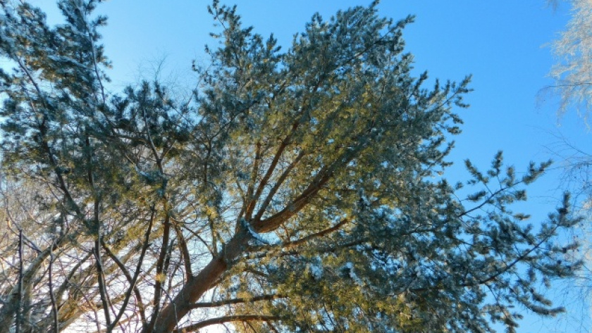    автор фото Вячеслав Вольгин