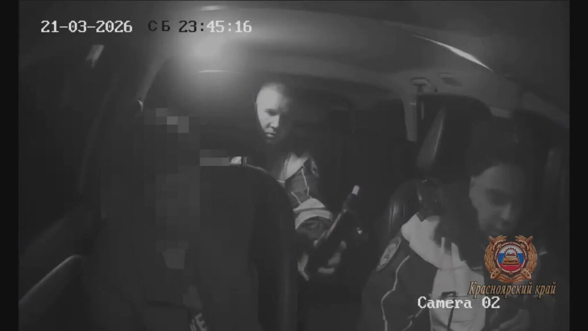     Пьяная женщина без прав везла пятерых детей по трассе в Красноярском крае