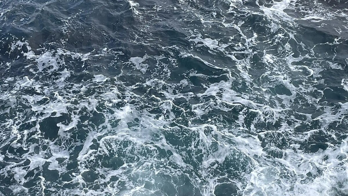    Фото: телеканал «Краснодар»